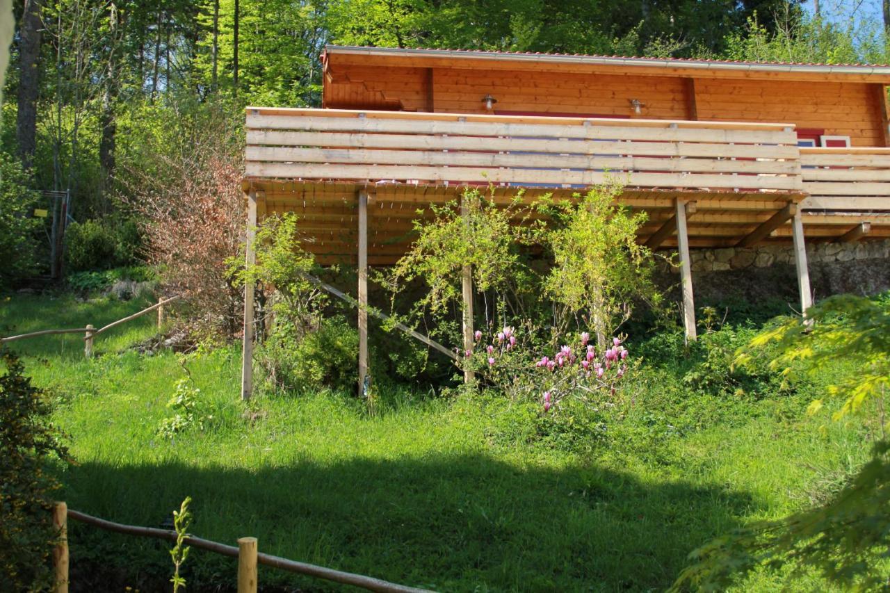 Blockhaus Saeuling - Haus Elise Apartments Füssen Kültér fotó